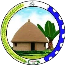 ደቡብ ሶዶ ወረዳ